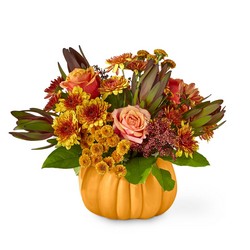 Honeyed Harvest Pumpkin -A local Pittsburgh florist for flowers in Pittsburgh. PA